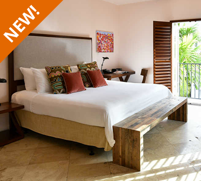 New! Casa Victoria Orchid