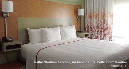 New Hotel Openings!