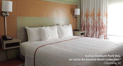 ¡Aperturas Nuevos Hoteles!