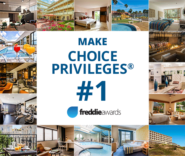 Make Choice Privileges #1