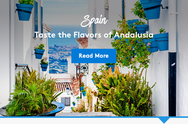 Taste the Flavors of Andalusia