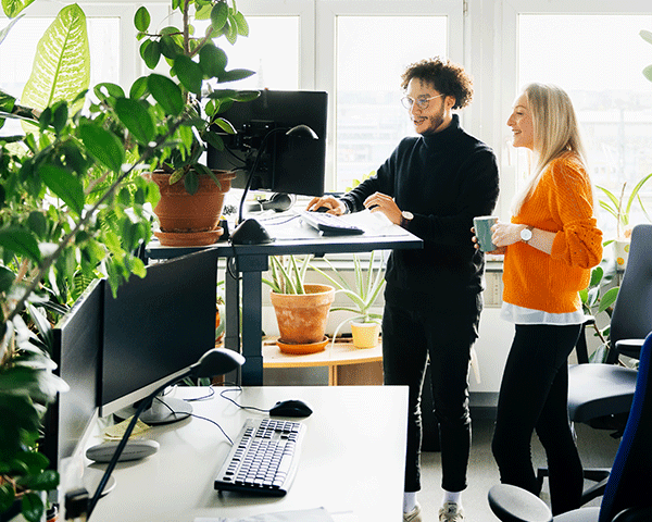People working at standing desks.