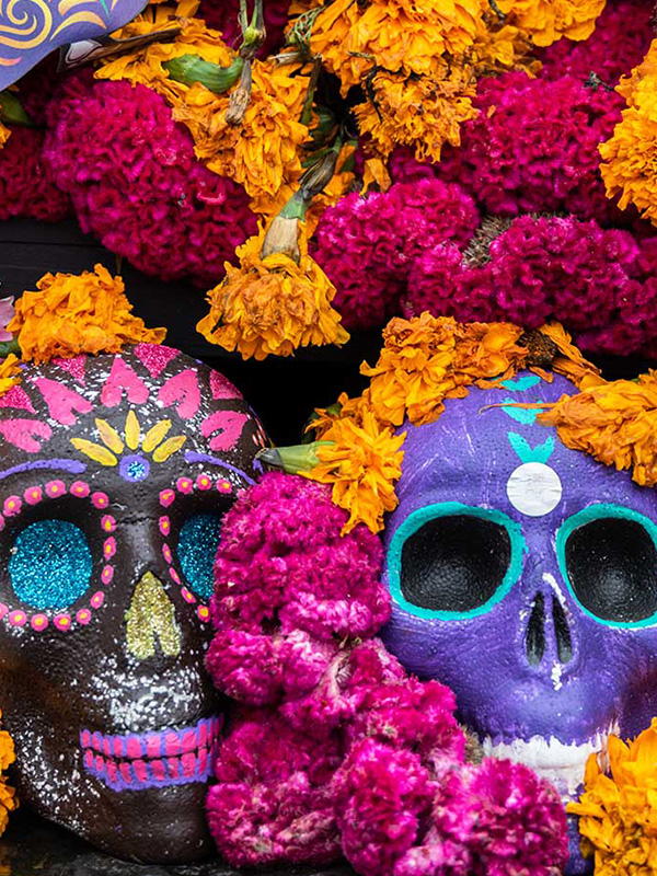 Colorful orange and red flowers and painted Day of the Dead skull decorations.
