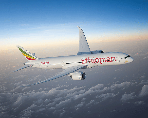 Links to Marriott Bonvoy and Ethiopian Airlines partner landing page.