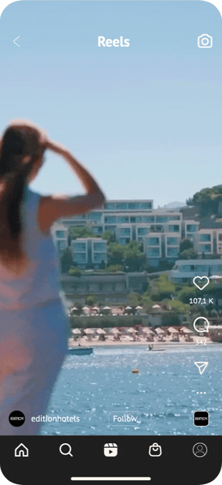An Instagram-style reel cycles through short clips, including a woman smiling by a window with a small dog jumping up at her, followed by close-ups of tropical flowers and a serene beach scene.