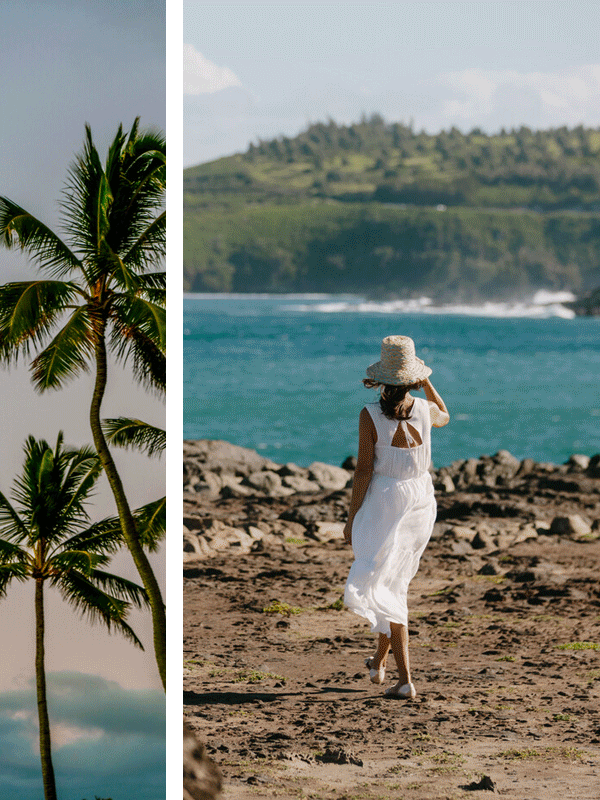 Slideshow of palm trees and beaches in Hawaii.