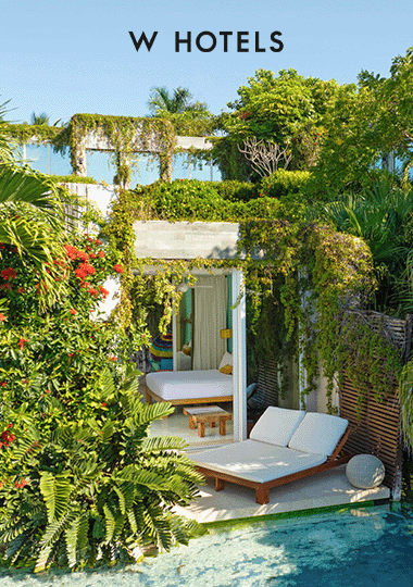 Property image of W Punta de Mita.