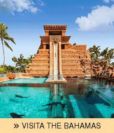 Property image of The Cove at Atlantis.