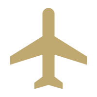Gold user icon.
