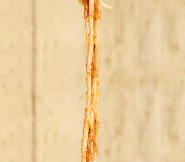 It's National Meatball Day!