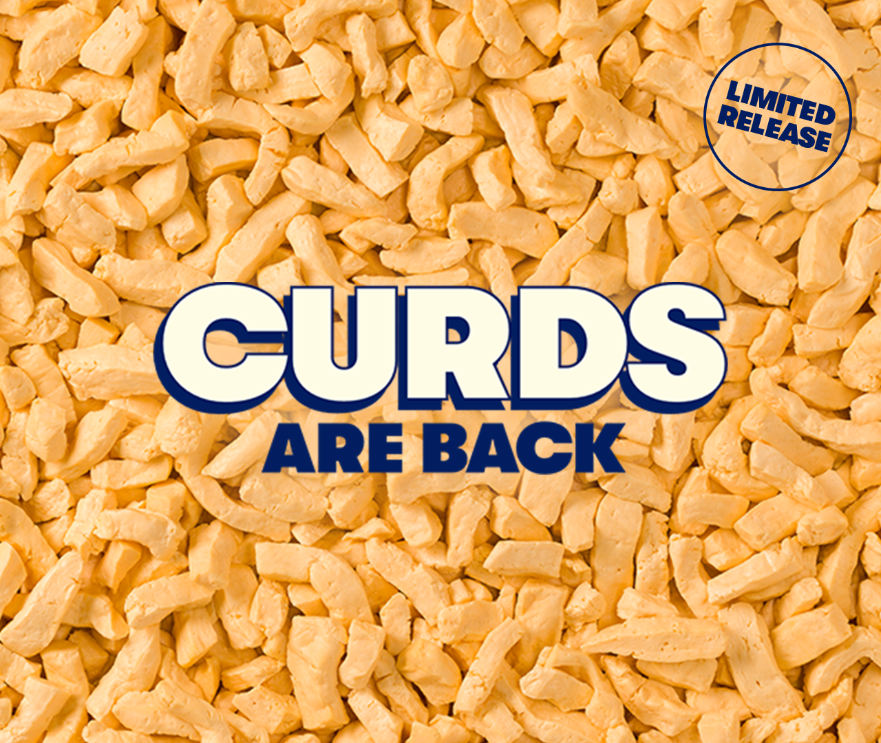 Curds Are Back