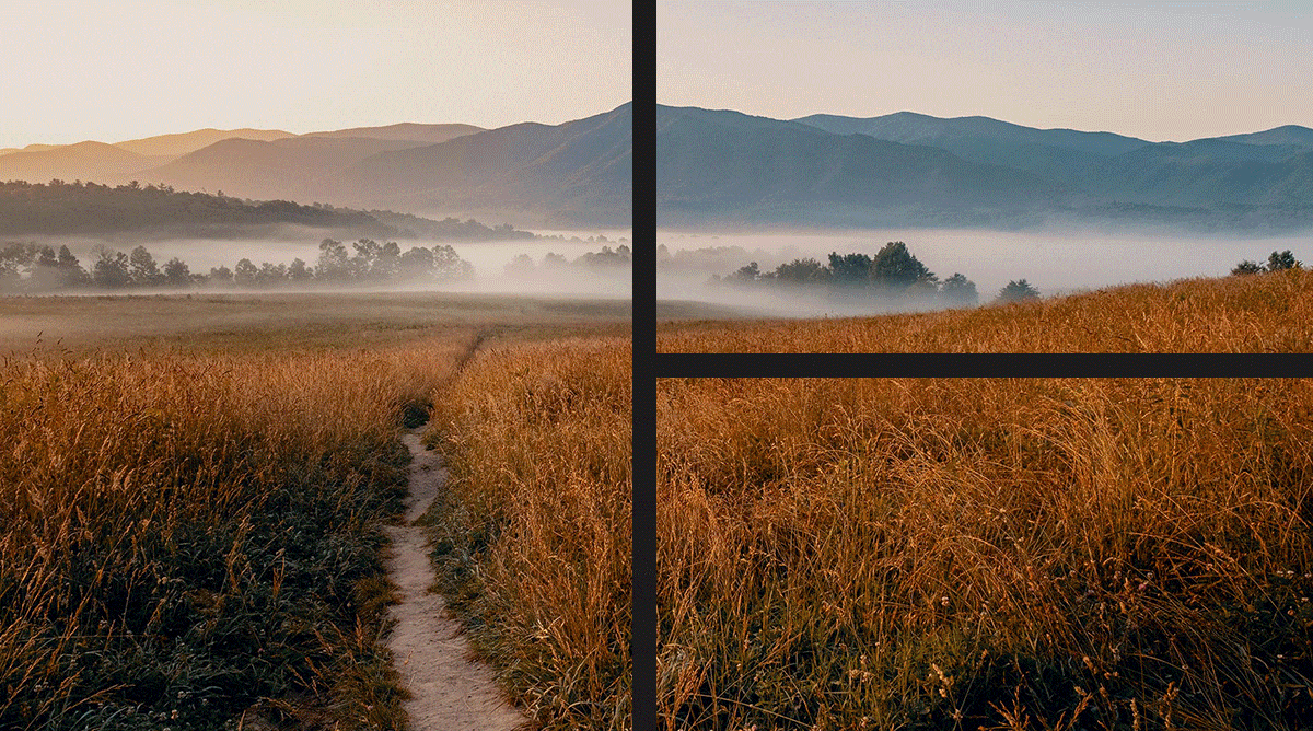 Marriott Bonvoy Traveler.