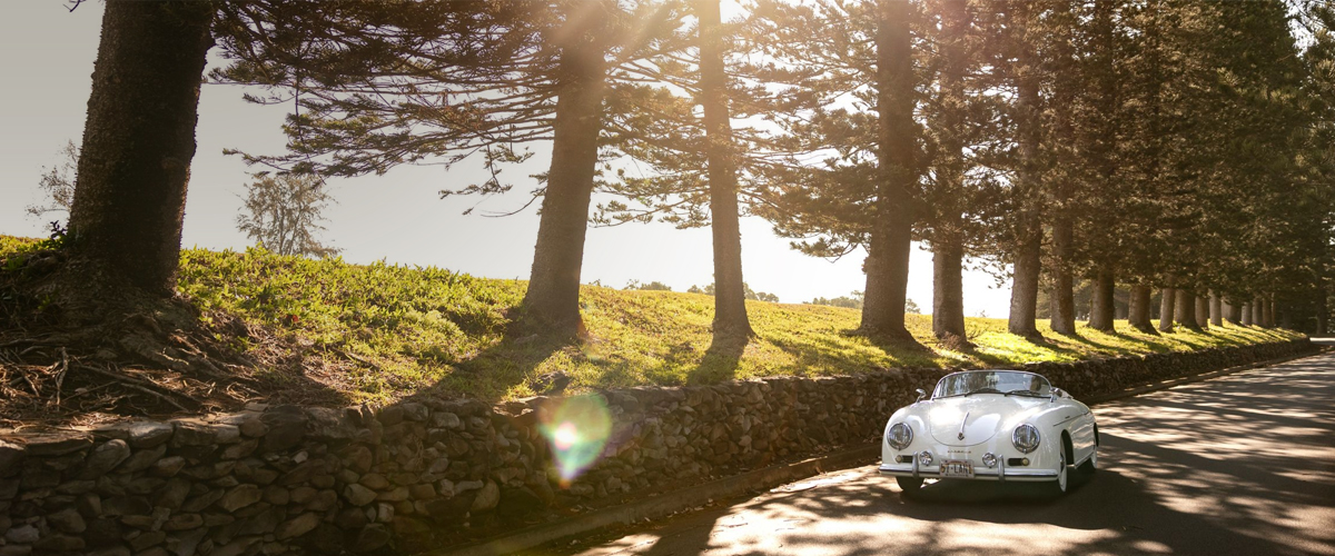A classic white convertible drives along a sunlit road lined with tall trees and a stone wall, casting long shadows.