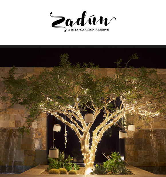 A tree adorned with twinkling fairy lights and hanging lanterns stands in a stone courtyard at night.