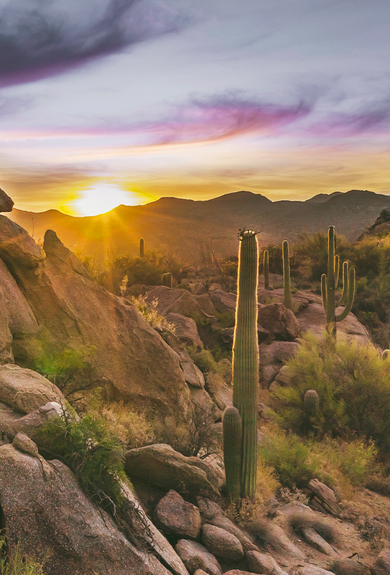 Phoenix destination image.