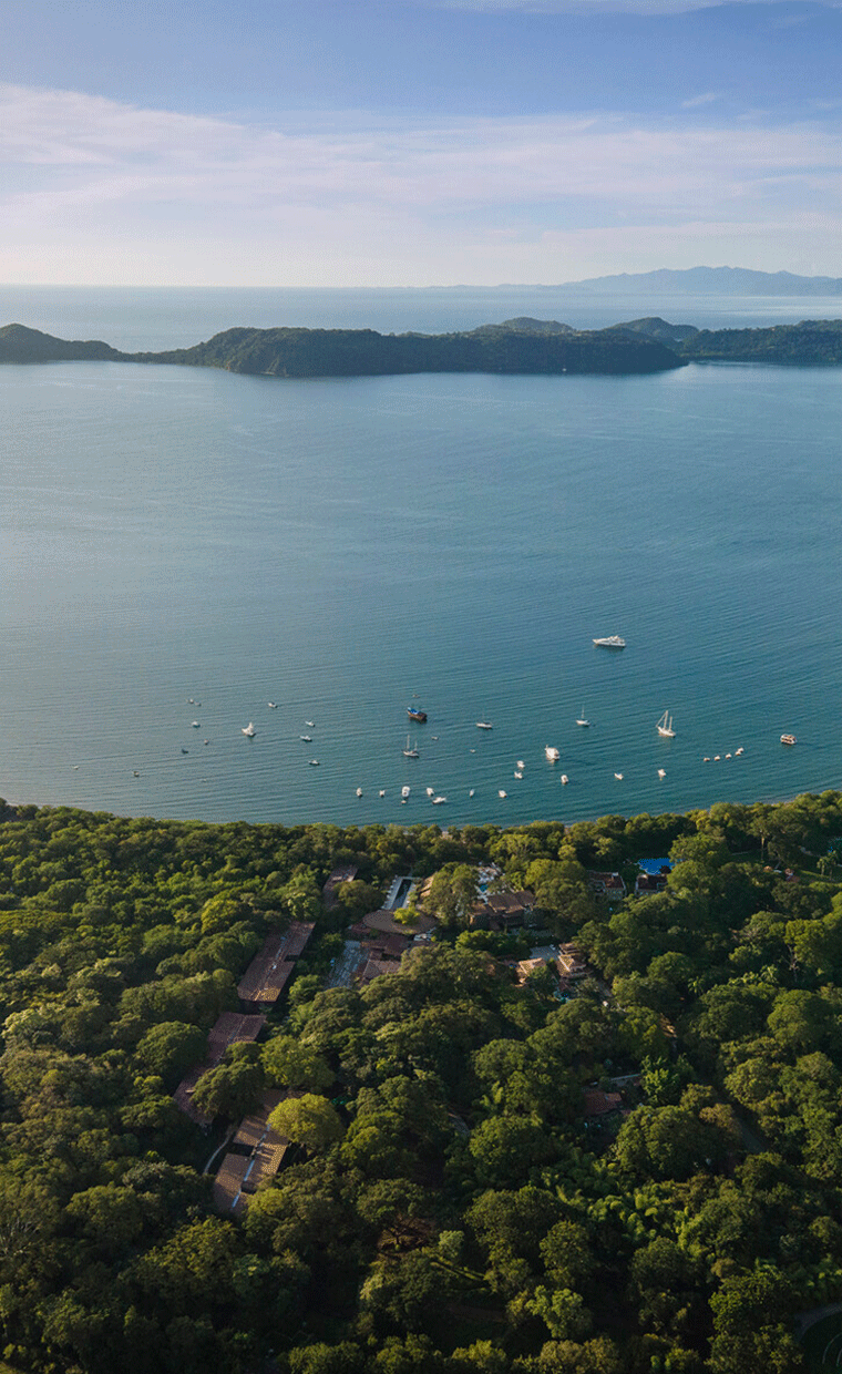Aerial view of Costa Rica waters and trees.