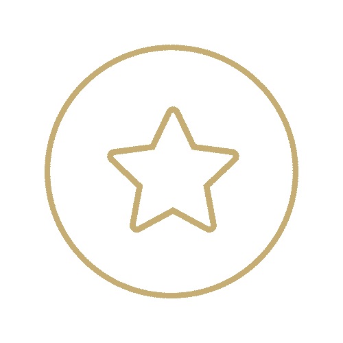 A simple gold outline of a star is centered within a gold circle on a black background, representing points value.