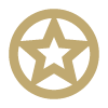 Gold star icon in circle.